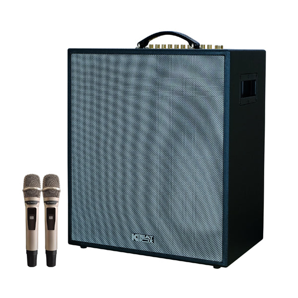 CS-551Plus Karaoke Powered Speaker